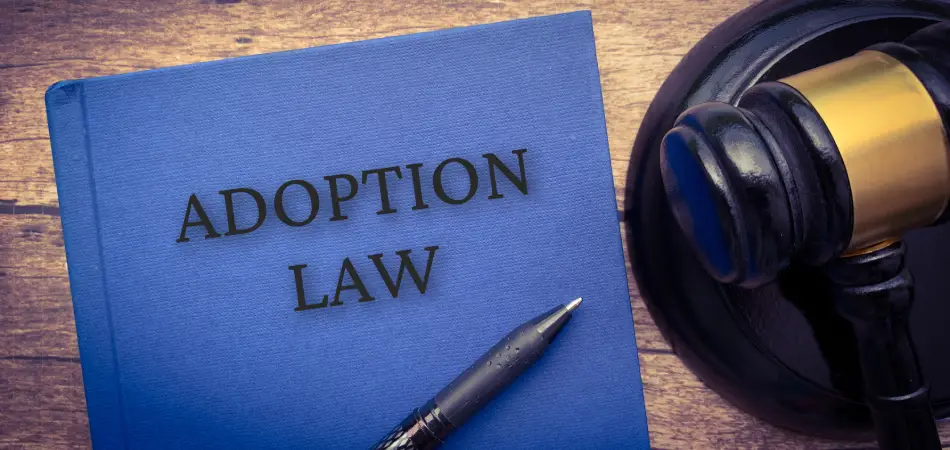 Anchorage Private Adoption Lawyer